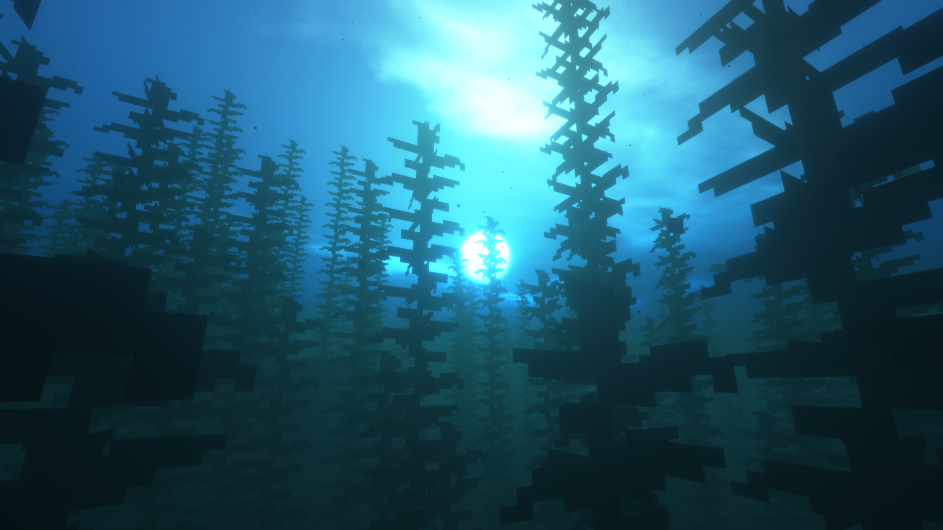 Features background