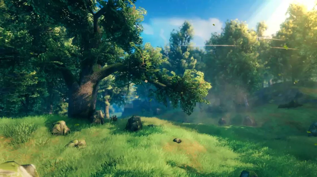 valheim Background