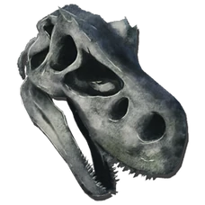 Apex Predator