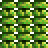 Chlorophyte